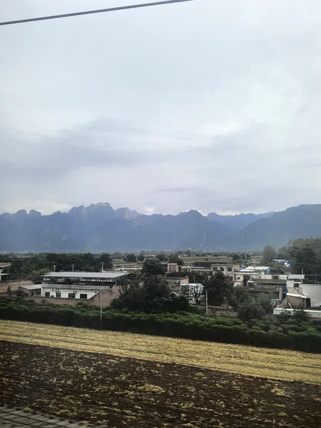 随手拍
